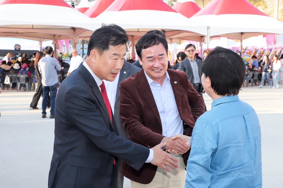 '흥천 남한강 벚꽃축제 part1' 게시글의 사진(5) 'IMG_8908.jpeg'