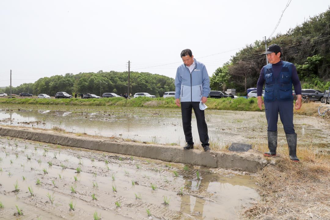 '드문모심기 기술시범사업 시연회' 게시글의 사진(2) 'IMG_1560.jpg'