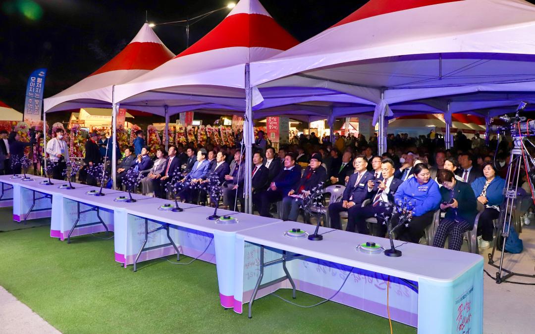'흥천 남한강 벚꽃축제 part2' 게시글의 사진(3) 'IMG_9028.jpeg'