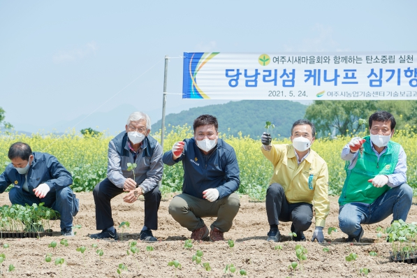 당남리섬 케나프 식재 행사