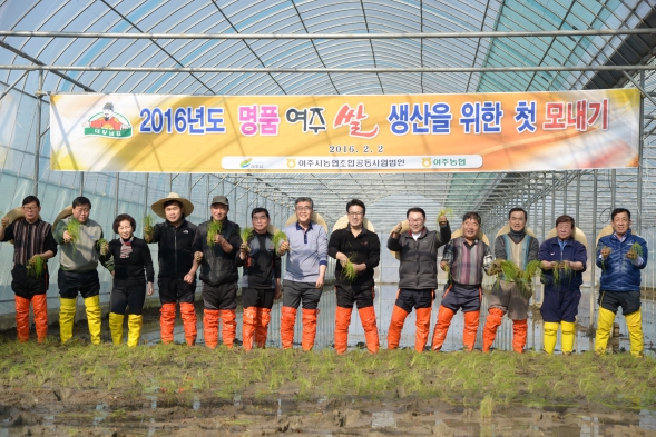 2016년 여주 명품쌀 생산을 위한 첫 모내기 행사