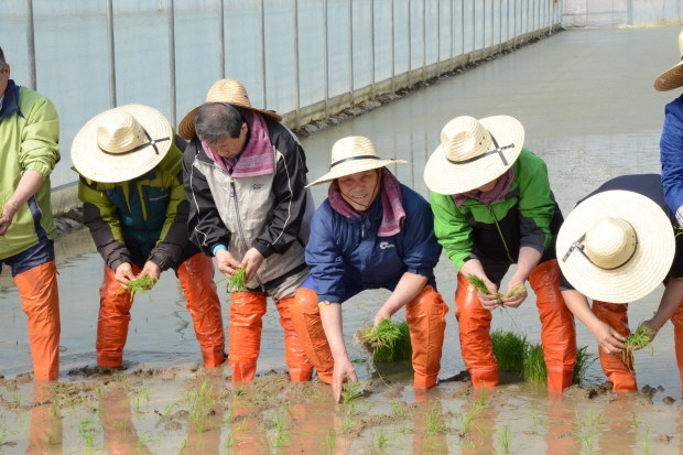 【2014.3.10】대왕님표 여주쌀 첫 모내기 행사 참석
