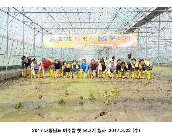 2017 대왕님표 여주쌀 첫 모내기 행사