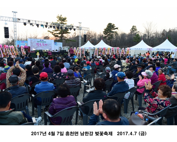 2017년 4월 7일 흥천면 남한강 벚꽃축제 개막식