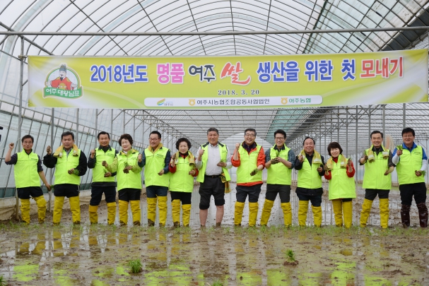 2018년도 명품여주쌀 생산을 위한 첫 모내기